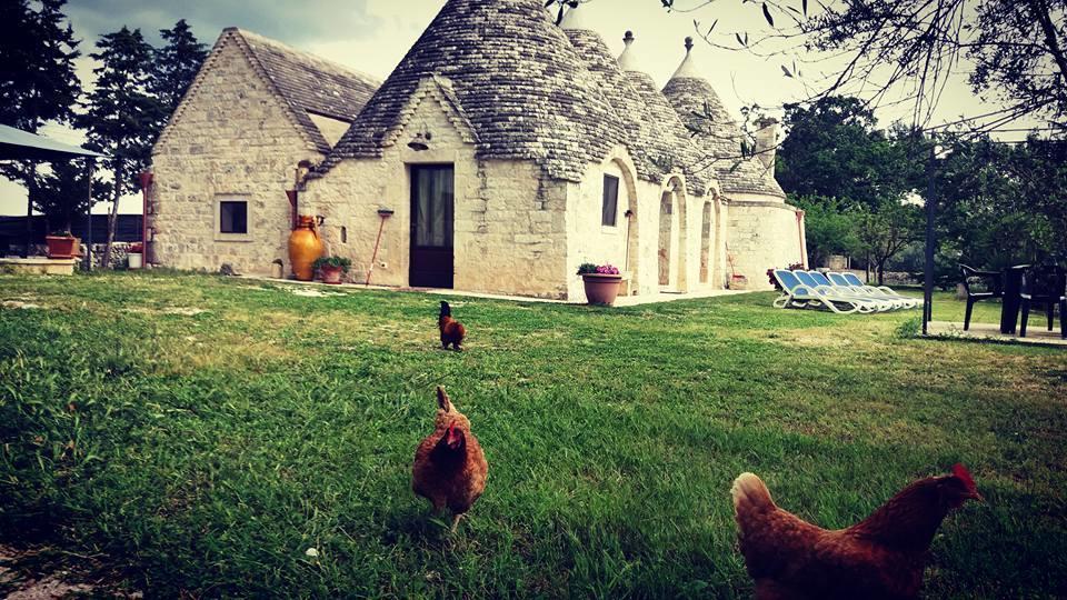 B&B Masseria Nardelli Locorotondo Dış mekan fotoğraf